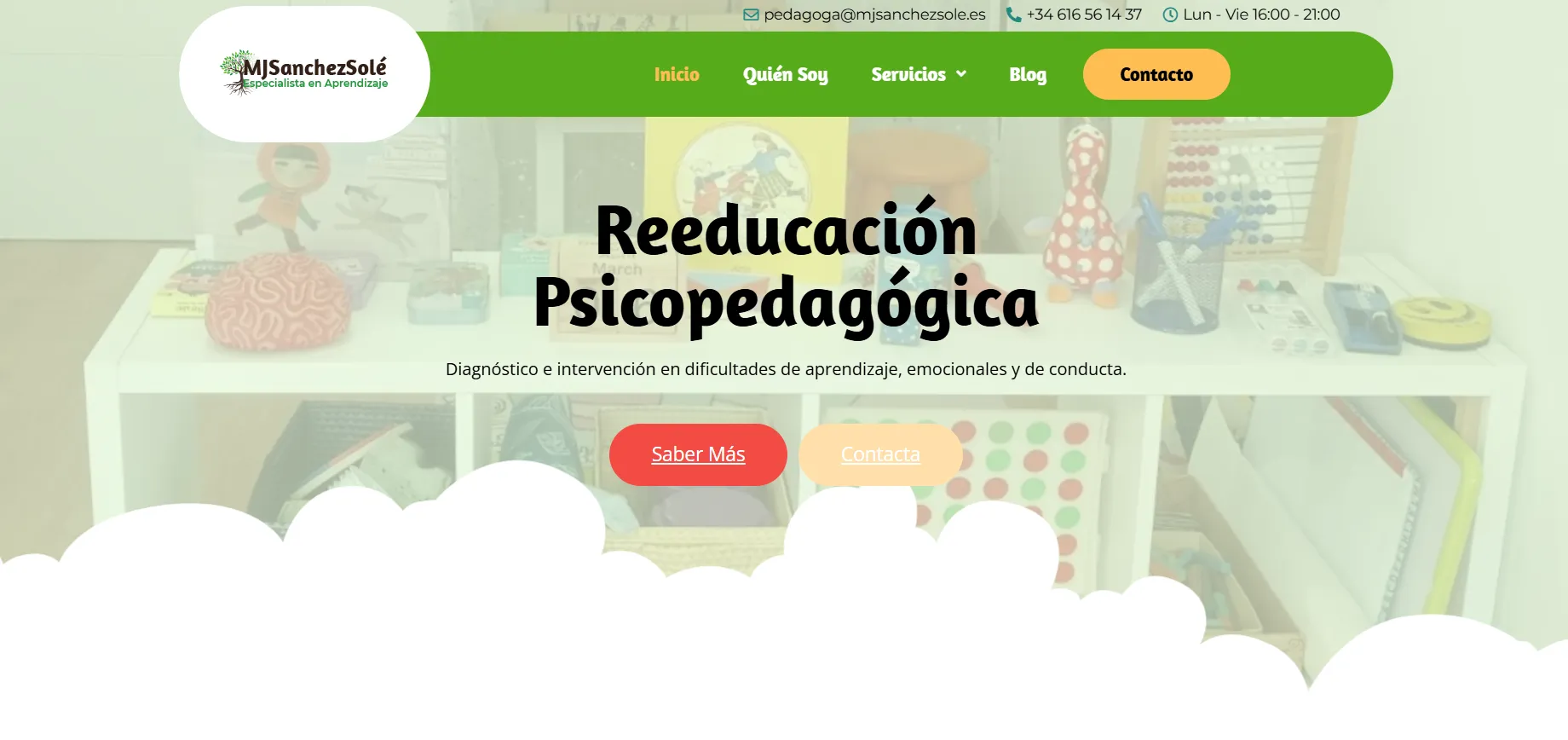 Diseño web Murcia-María José Sánchez-Sole, Pedagoga
