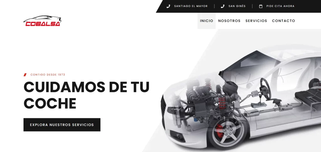Diseño Web Murcia-Talleres Cobalsa